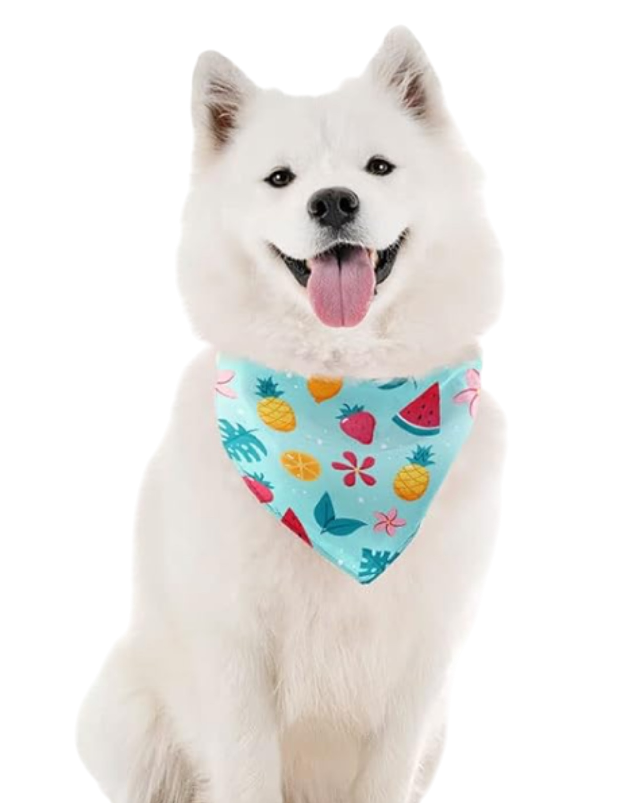 Bandanas for Dogs