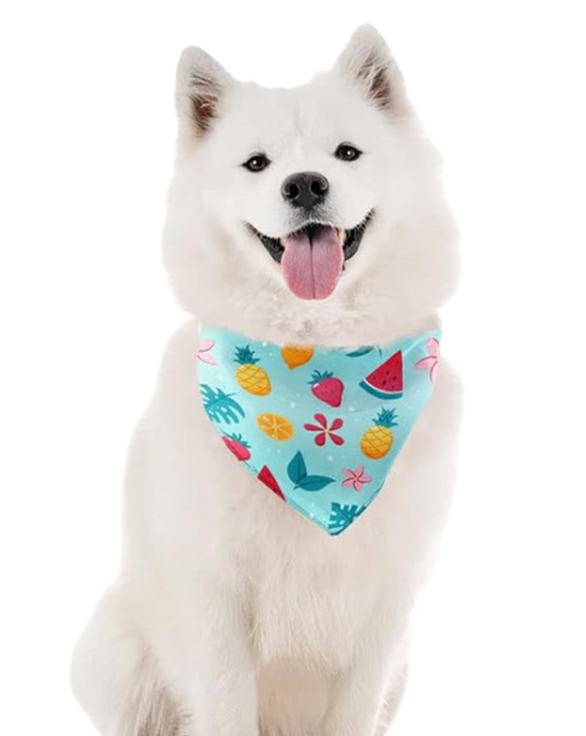 Bandanas for Dogs